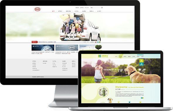 网站建设,成都网站建设,网站建设公司